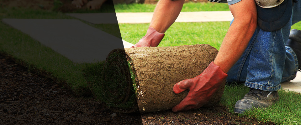 Chesnee Landscapers